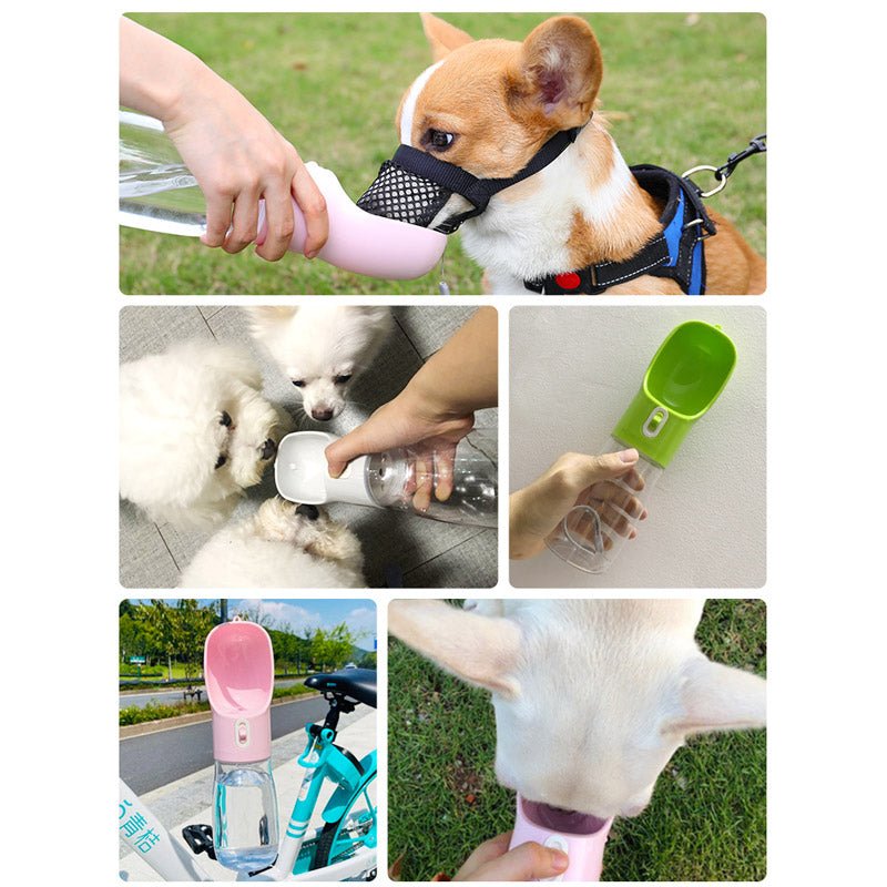 Pet Dog Water Bottle Feeder - My Store