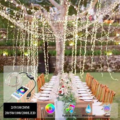 Bluetooth LED String Lights - My Store
