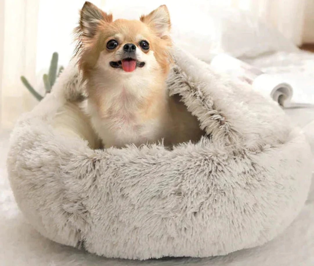 Haven Pet Bed - My Store