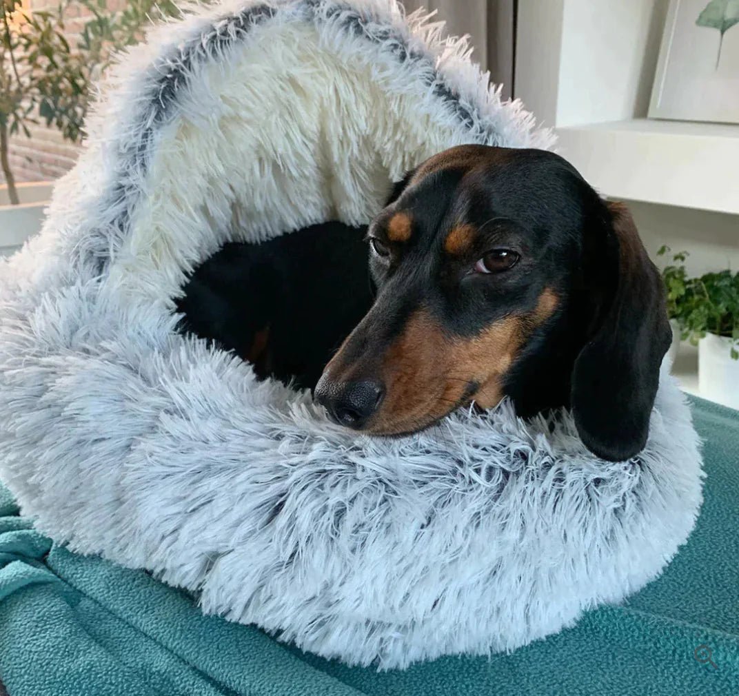 Haven Pet Bed - My Store