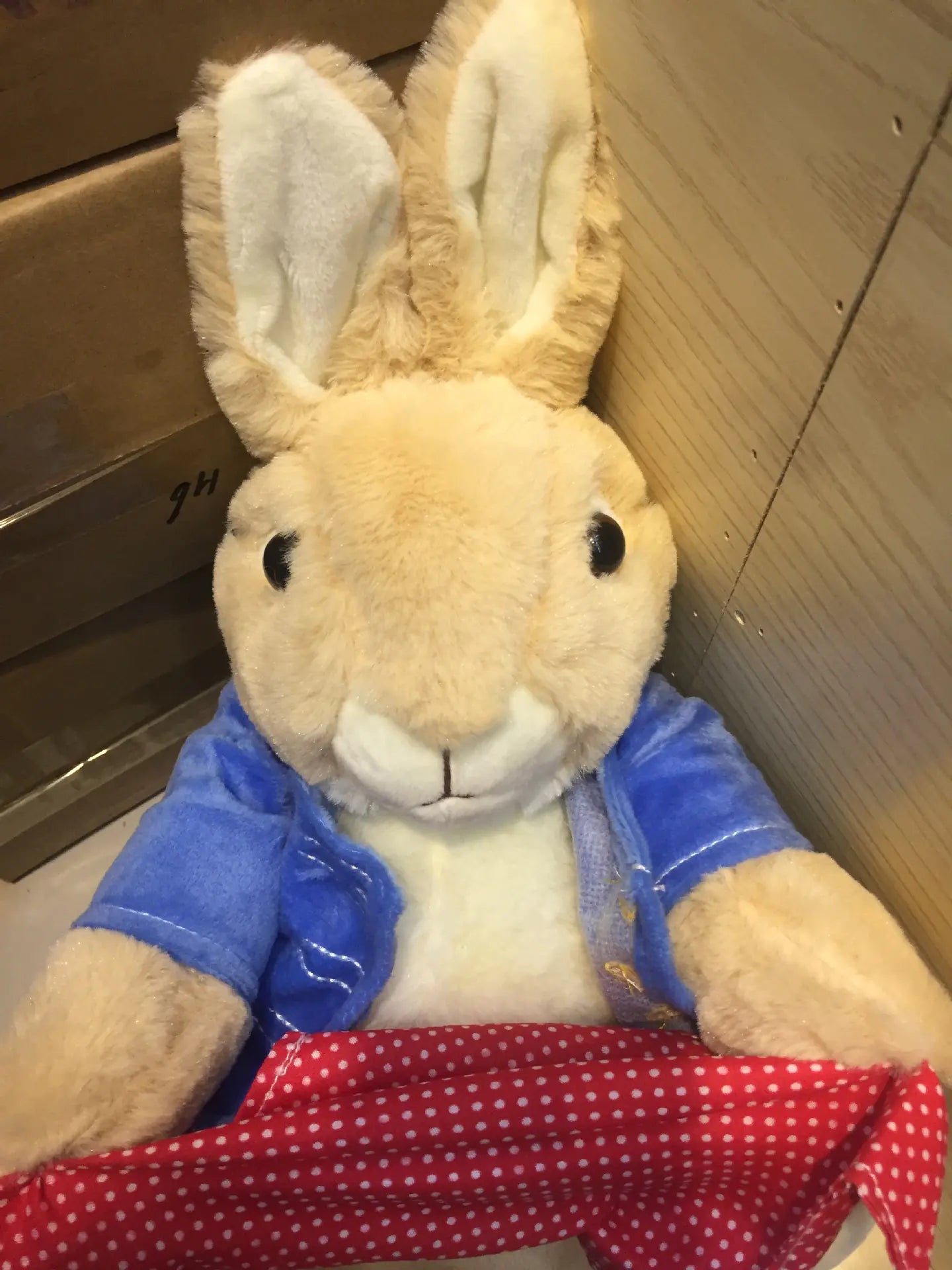 Electric Plush Rabbit Toy for Hide and Seek Play